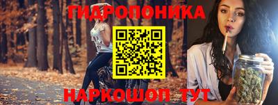 бутират Гусь-Хрустальный