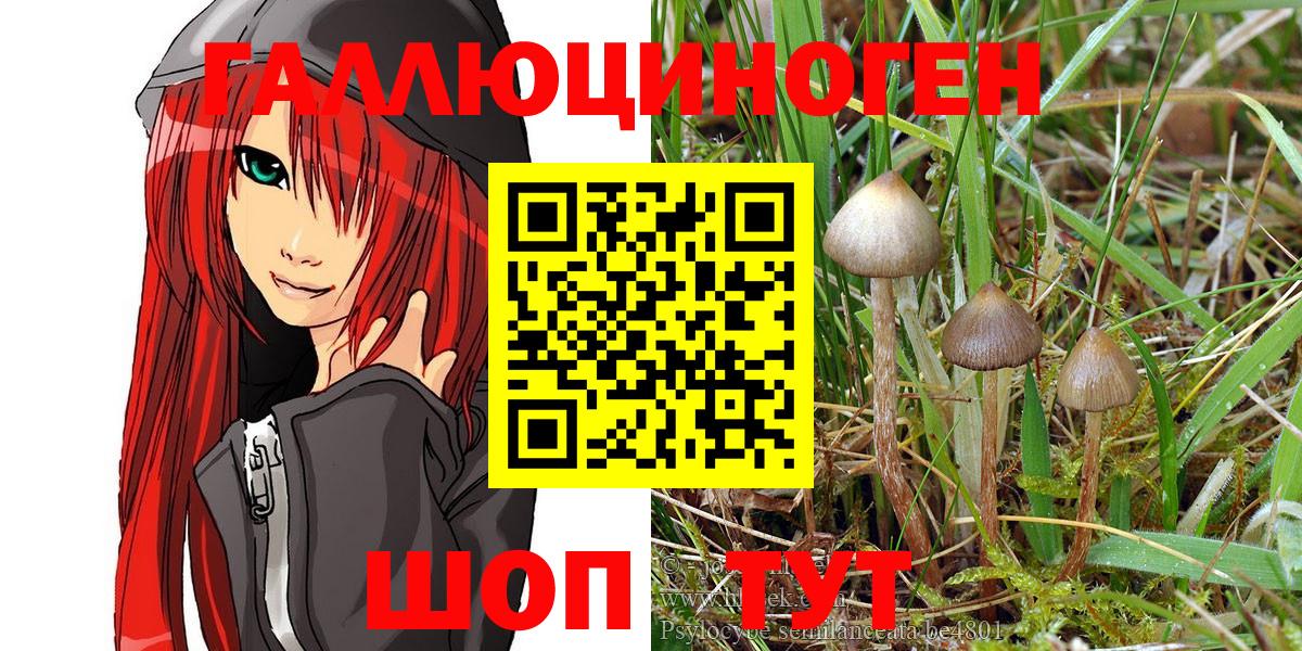 Костомукша  Псилоцибиновые грибы MAGIC MUSHROOMS  Вход с VPN 